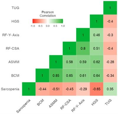 Rectus femoris cross sectional area and timed up and go test potential useful of as a predictor of sarcopenia and mortality in idiopathic pulmonary fibrosis